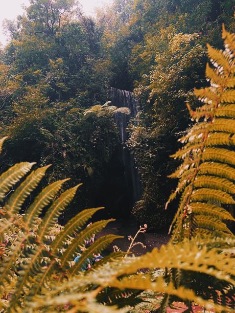 Ubud: Gorilla Face Quad Bike, Jungle Swing, Waterfall & Meal - Pricing and Booking Information