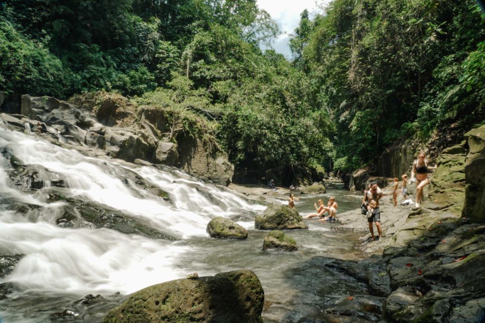 Ubud: Guided Half-Day Ubud Waterfalls Tour - Whats Included