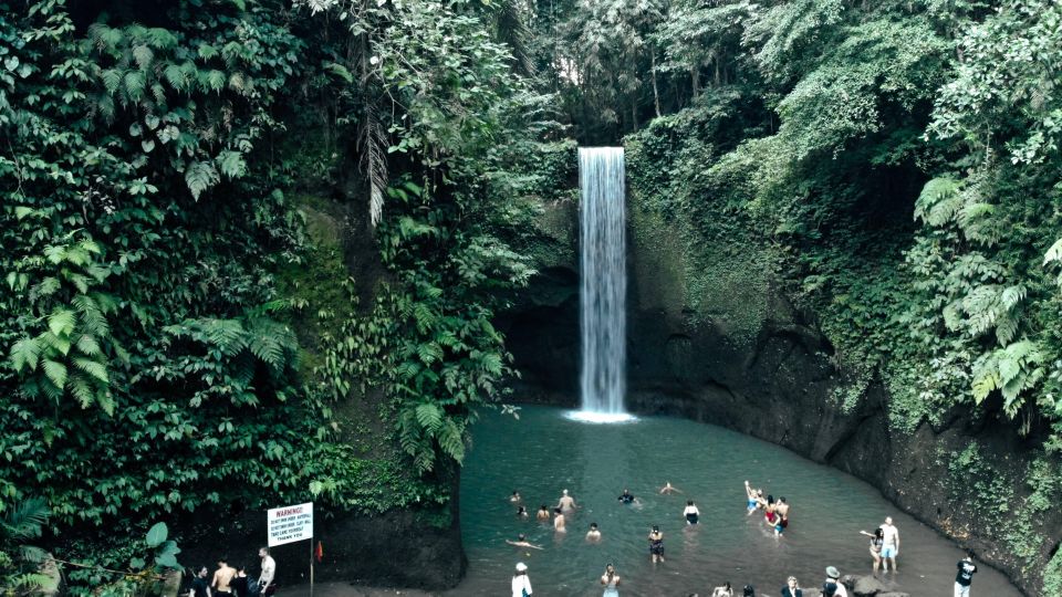 Ubud: Guided Half-Day Ubud Waterfalls Tour - Customer Reviews