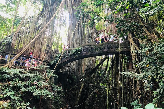 Ubud Guided Tour & Iconic Tanah Lot Temple - Tour Schedule and Availability