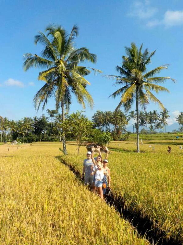 Ubud: Half-Day Tegallalang Electric Cycling Tour - Key Points