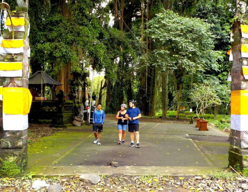 Ubud: Half-Day Tegallalang Electric Cycling Tour - The Experience in Detail