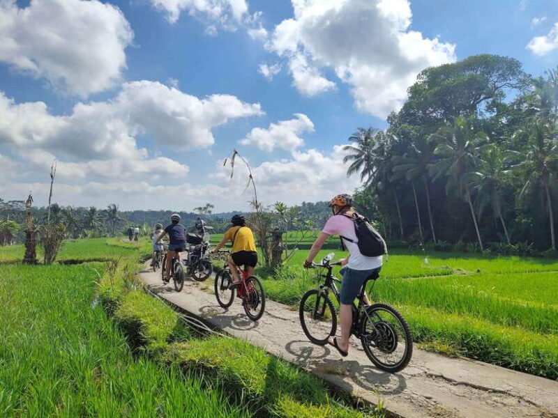 Ubud: Half-Day Tegallalang Electric Cycling Tour - Authenticity and What Travelers Say