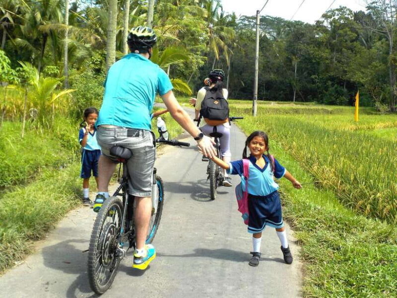 Ubud: Half-Day Tegallalang Electric Cycling Tour - Value and Practical Tips