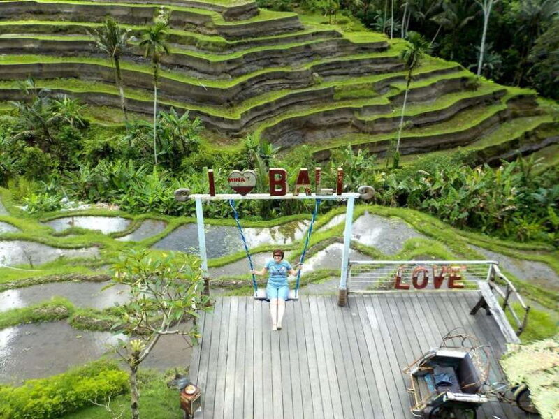 Ubud: Half-Day Tegallalang Electric Cycling Tour - Who Should Consider This Tour?