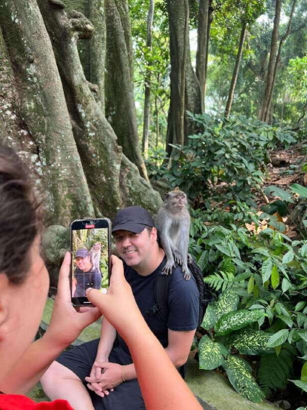 Ubud Half Day Waterfall Tour & Temple - An In-Depth Look at the Ubud Half Day Waterfall Tour & Temple