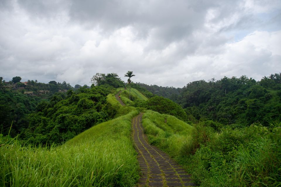 Ubud: Half/Full-Day Guided Private Tour With Entry Tickets - Key Points
