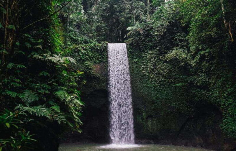 Ubud Hidden Gems: Waterfall Tour - Unpacking the Waterfall Tour: A Deep Dive into What You Can Expect