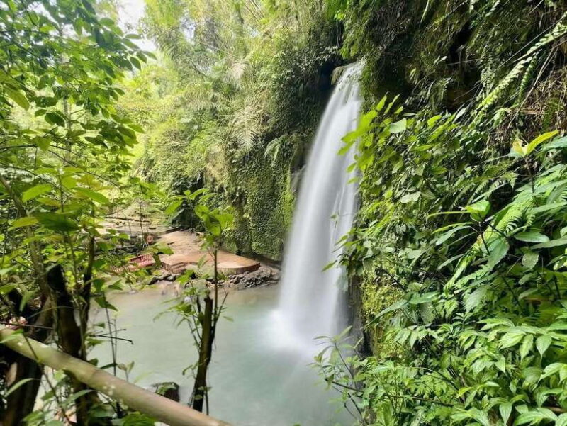 Ubud: Hidden Waterfall, Monkey Forest, Rice Terrace & Swing - The value of this tour