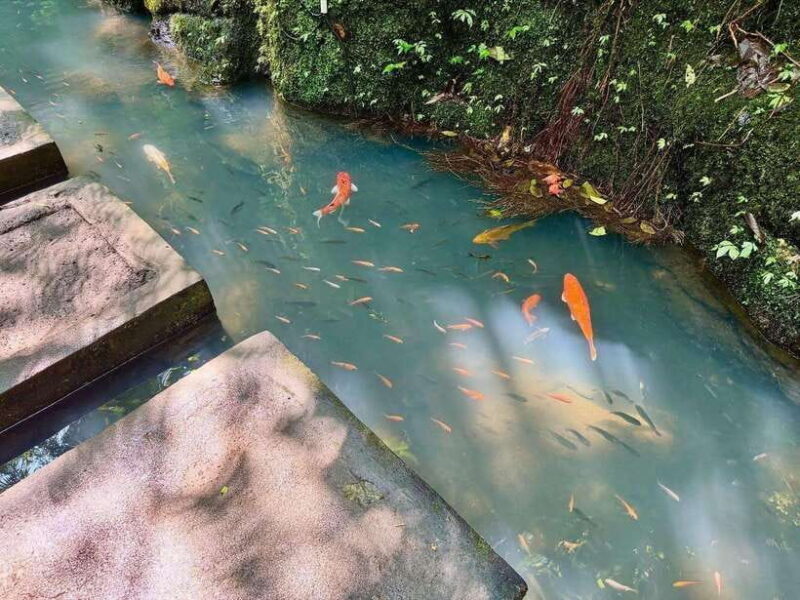 Ubud: Hidden Waterfall, Monkey Forest, Rice Terrace & Swing - FAQ  