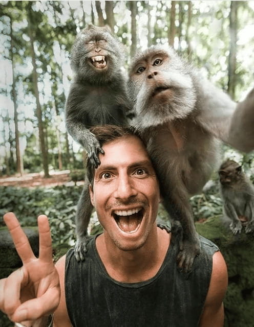 Ubud: Highlight Nature Wildlife, Swing & Waterfall - An Honest Look at the Ubud Highlights Tour