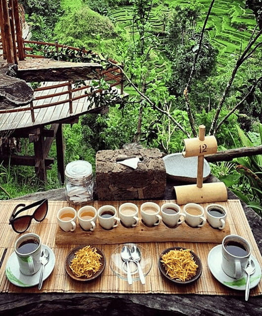 Ubud: Highlight Nature Wildlife, Swing & Waterfall - Who Would Love This Tour?
