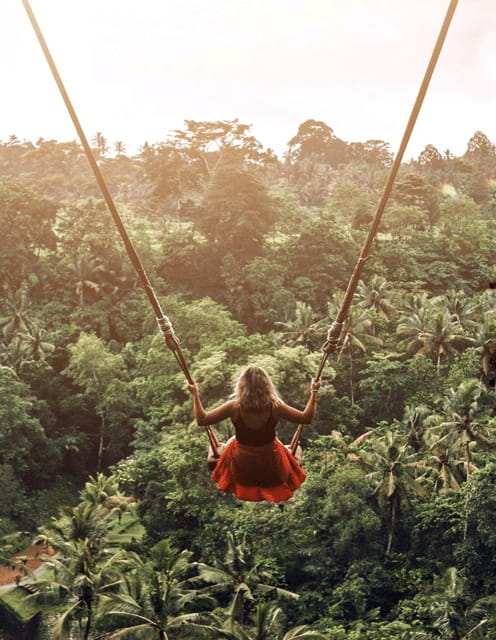 Ubud: Highlight Nature Wildlife, Swing & Waterfall - The Sum Up