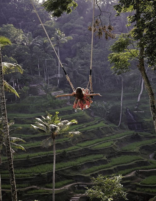 Ubud: Highlight Nature Wildlife, Swing & Waterfall - FAQ