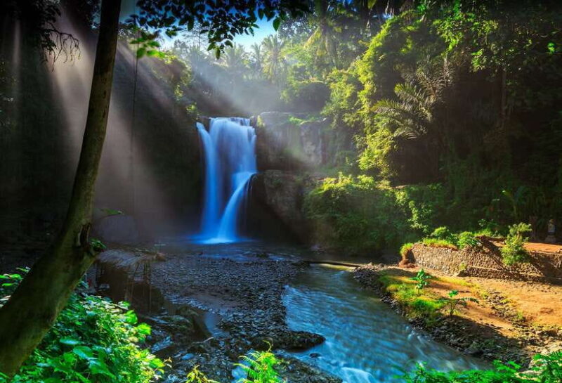 Ubud: Highlight Tour with Holy Bathing at Tirta Empul Temple - Key Points
