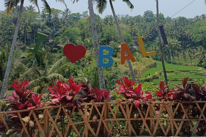 Ubud Highlight Tour With Monkey Forest, Rice Terrace, Waterfall - Admiring the Rice Terraces
