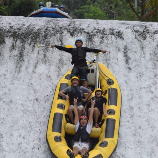 Ubud Highlights Private Day Tour - Itinerary and Activities
