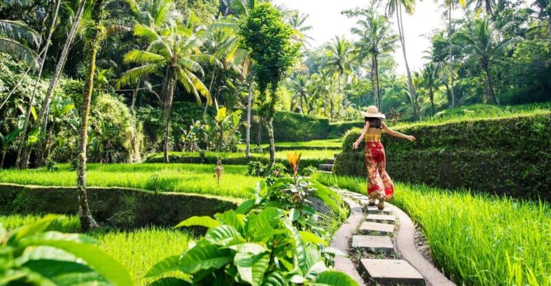Ubud Highlights Private Day Tour - Important Information