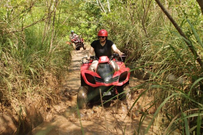 Ubud Highlights Private Day Tour - Preparation and Recommendations