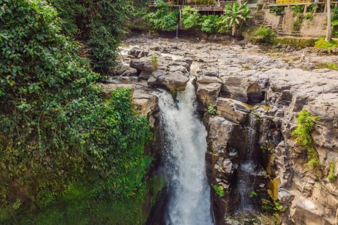 Ubud Highlights Private Day Tour - Discover Tegallalang Rice Terrace