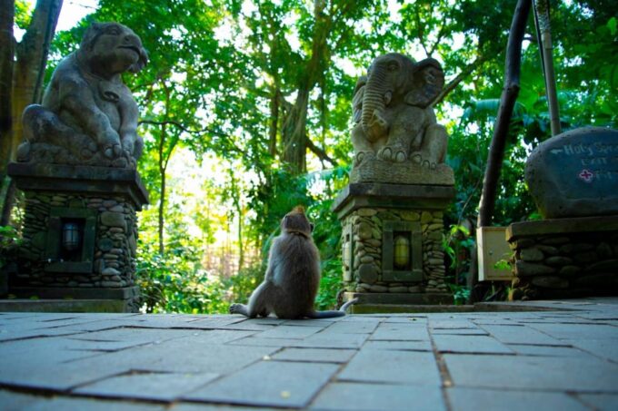 Ubud Highlights Private Day Tour - Explore Sacred Monkey Forest Sanctuary