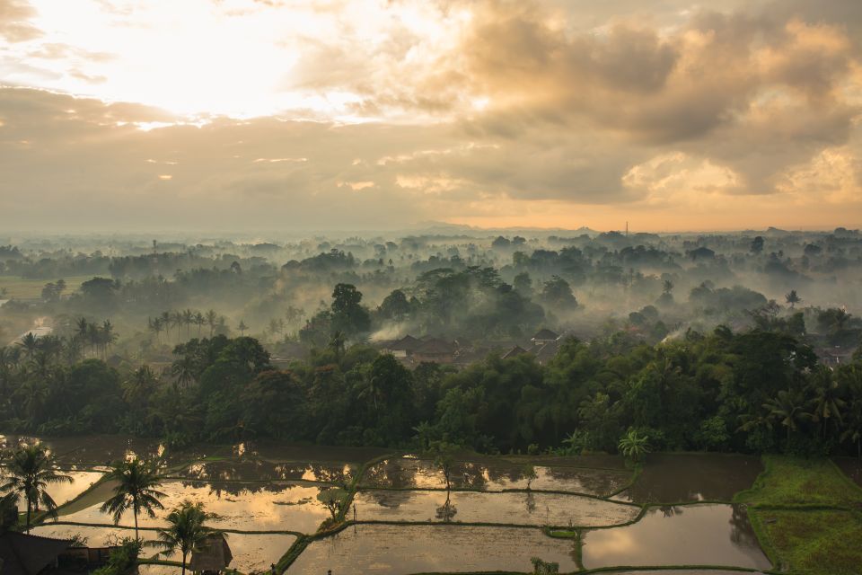 Ubud: Hot Air Balloon Experience - Customer Ratings and Highlights