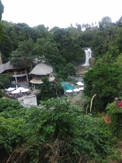 UBUD in 1-Day : Explore The Charm - Private - All Inclusive - Unique Experiences