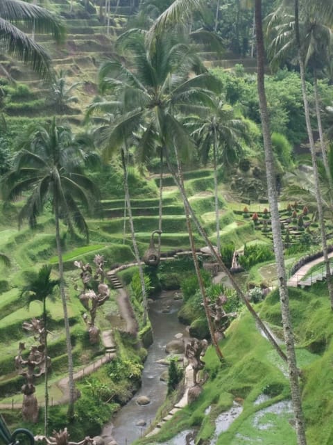 UBUD in 1-Day : Explore The Charm - Private - All Inclusive - Local Cuisine