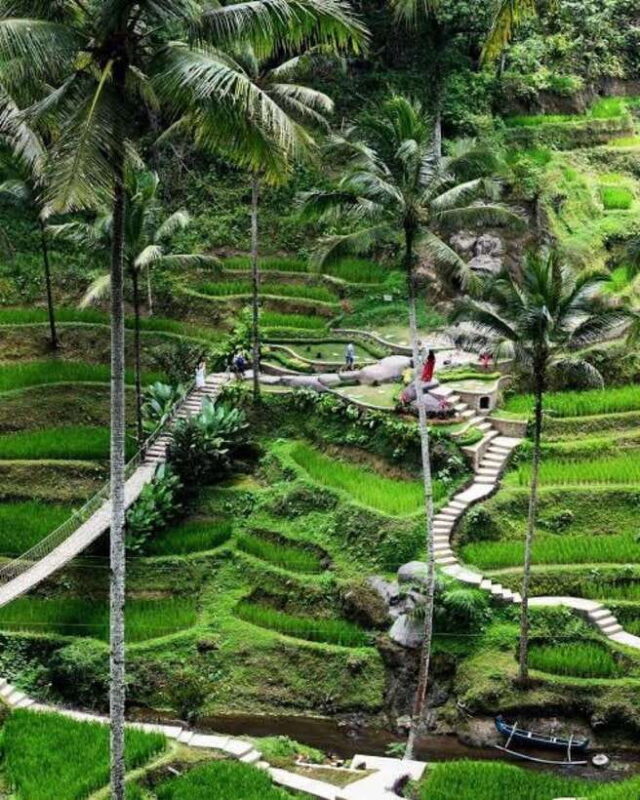 Ubud Jeep Sunrise 4WD Private Tour with breakfast - The Sum Up