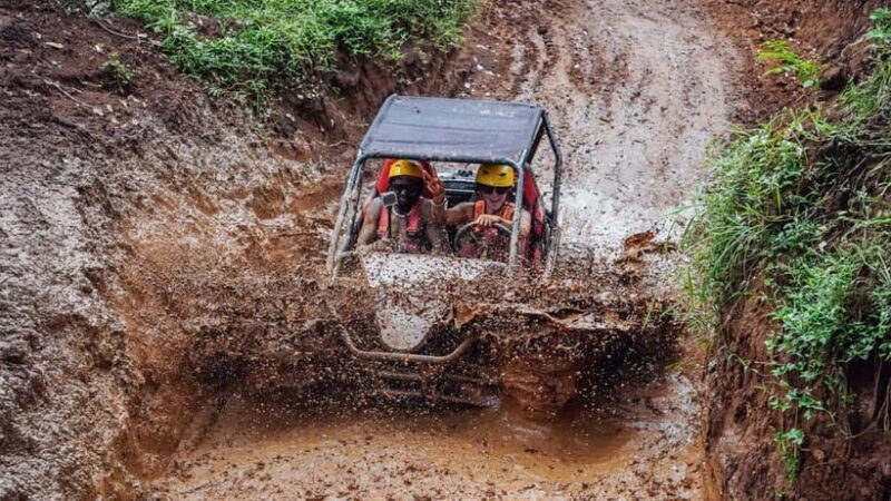 Ubud: Jungle Buggy Ride Adventure Guided Tour in Bali - An Authentic Bali Experience on Four Wheels