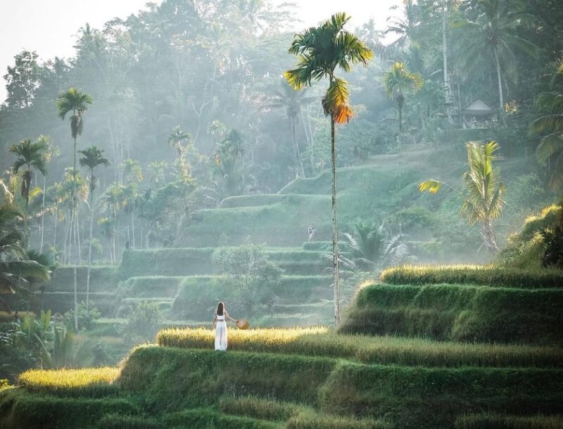 Ubud: Kanto Lampo, Tukad Cepung, Rice Terrace, Batuan Temple - Tukad Cepung Waterfall
