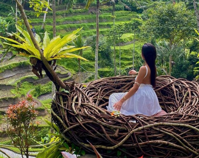 Ubud: Kanto Lampo, Tukad Cepung, Rice Terrace, Batuan Temple - Transportation and Logistics