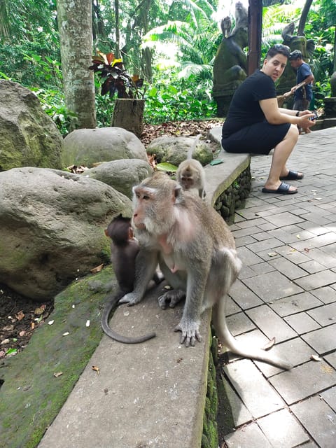 Ubud: Monkey Forest and Tegenungan Waterfall Guided Tour - Tour Details