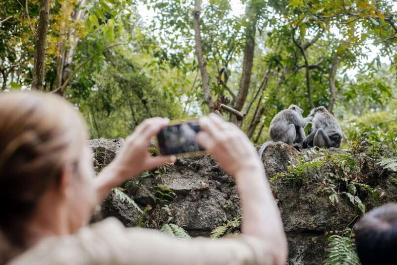Ubud: Monkey Forest, Ceking Rice Terraces and More Full Day - Overview of the Tour Experience