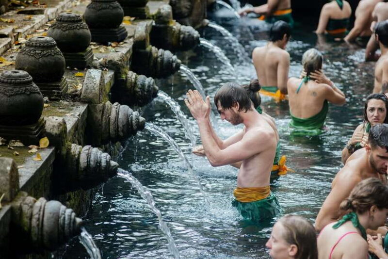 Ubud: Monkey Forest, Ceking Rice Terraces and More Full Day - The Experience of a Full Day