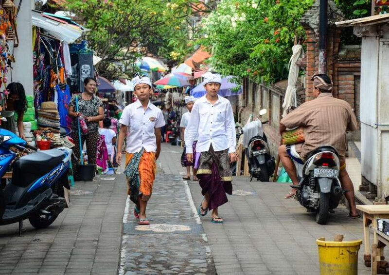 Ubud: Monkey Forest, Ceking Rice Terraces and More Full Day - What Travelers Say