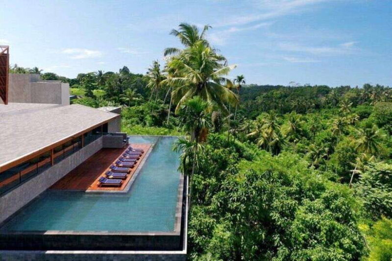 Ubud/Monkey Forest: Habitat Bistro Dining Experience - Key Points