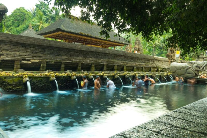 Ubud: Monkey Forest, Holy Water Temple, and Hot Springs Tour - Tour Overview and Pricing