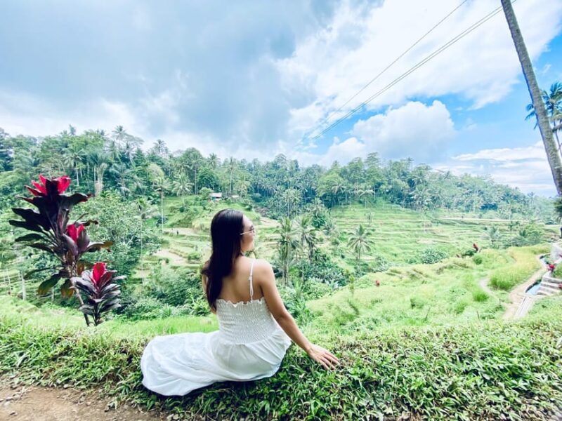 Ubud: Monkey Forest, Holy Water Temple, and Hot Springs Tour - Experience Details