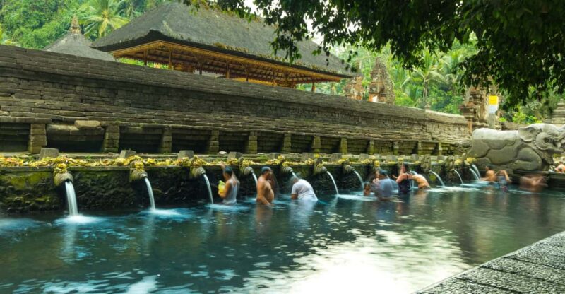 Ubud: Monkey Forest, Holy Water Temple, and Hot Springs Tour - Important Information