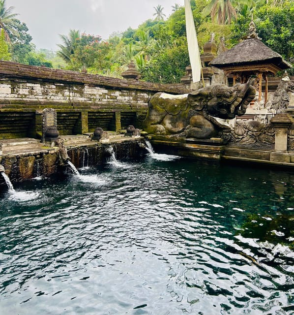 Ubud: Monkey Forest, Holy Water Temple, and Hot Springs Tour - Customer Reviews