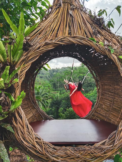 Ubud: Monkey Forest, Rice Terrace, and Jungle Swing Tour - Traveler Reviews and Feedback