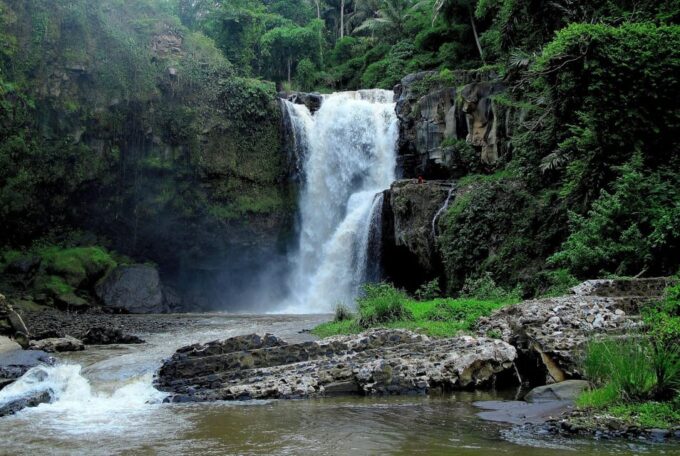 Ubud: Monkey Forest, Rice Terrace, and Jungle Swing Tour - Pickup Locations and Itinerary Details