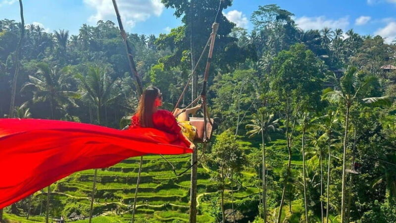 Ubud Monkey Forest, Rice Terrace, and Swing Private Tour - Exploring Bali’s Natural and Cultural Treasures on a Private Tour