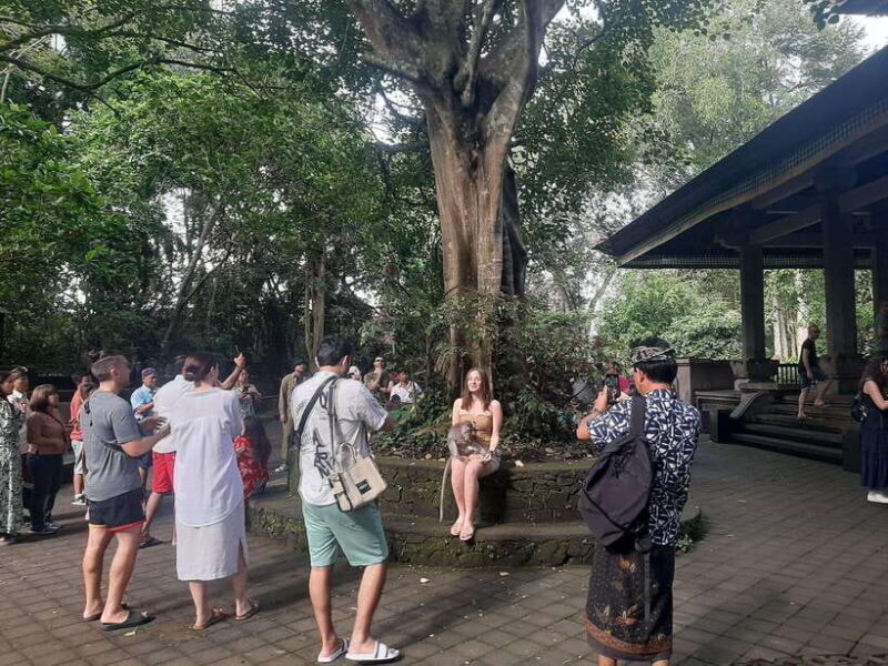 Ubud: Monkey Forest, Rice Terrace, and Waterfall - Ubud: Monkey Forest, Rice Terrace, and Waterfall – A Detailed Look