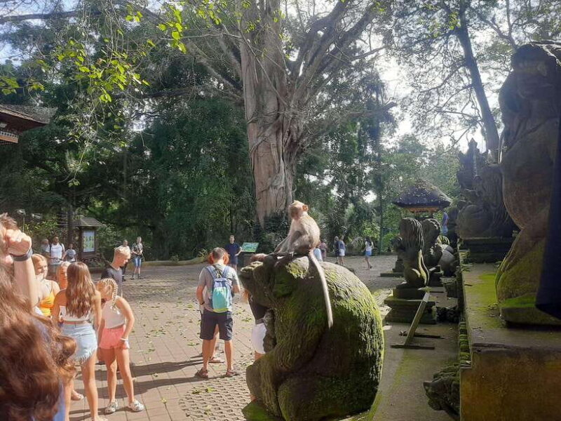 Ubud: Monkey Forest, Rice Terrace, and Waterfall - Why This Tour Works for Travelers