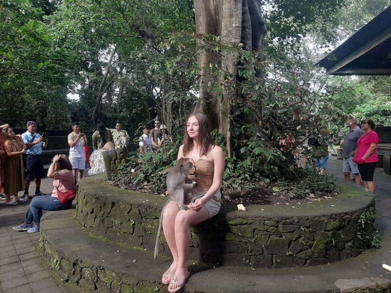 Ubud: Monkey Forest, Rice Terrace, and Waterfall - Final Thoughts