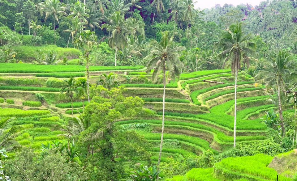 Ubud: Monkey Forest, Rice Terrace, Hidden Waterfalls & More - Booking and Cancellation