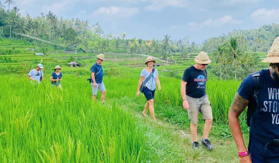 Ubud: Monkey Forest, Rice Terrace, Hidden Waterfalls & More - Exploring the Sacred Monkey Forest