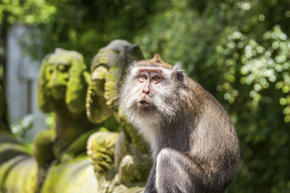 Ubud: Monkey Forest, Rice Terrace & Tanah Lot Private Tour - Inclusions and Exclusions